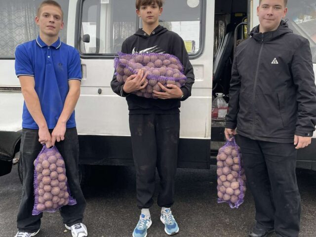 ✔️Сельскохозяйственная ярмарка